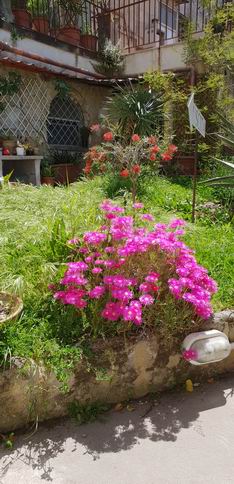 20180429_133507